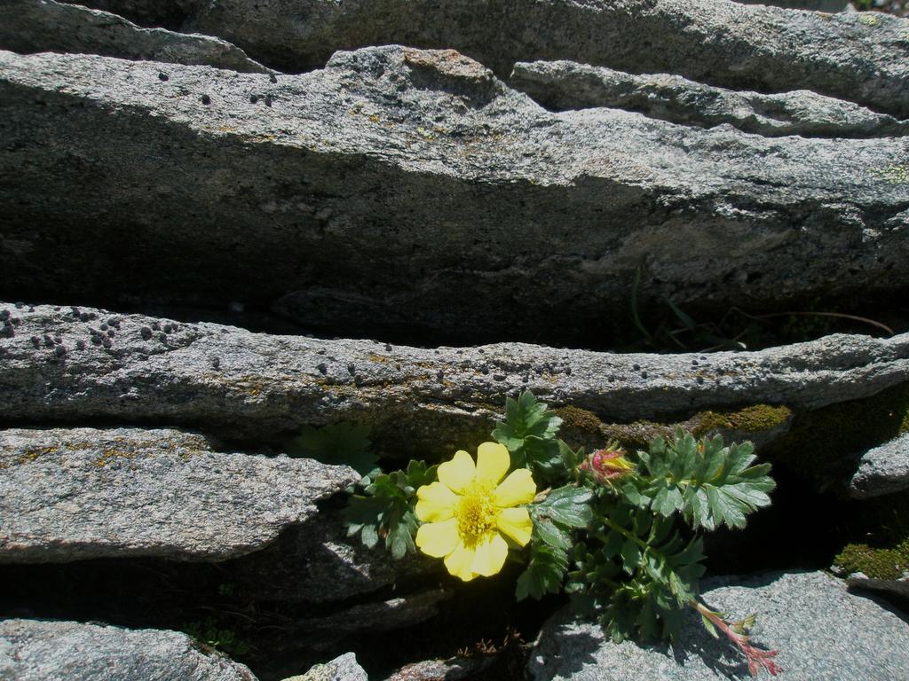 Klampererhof Virgen Exterior foto