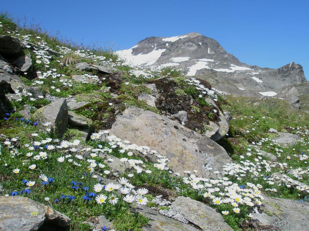 Klampererhof Virgen Exterior foto